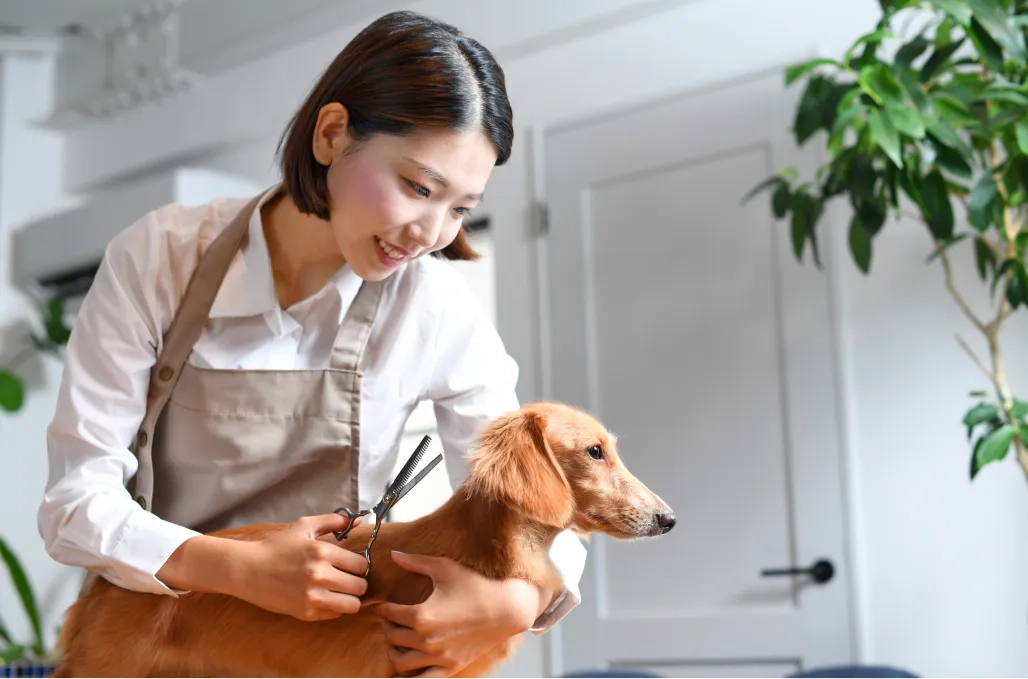頑張った分だけしっかり稼げる