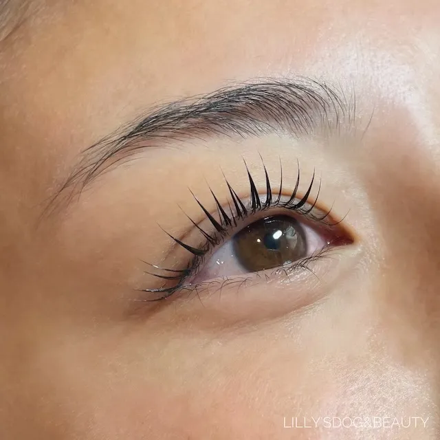 ギャラリー画像 06