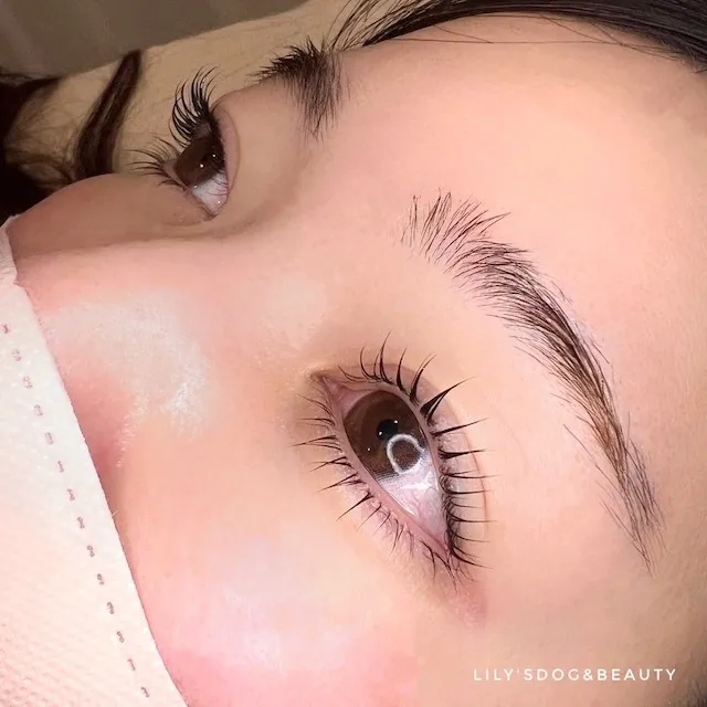 ギャラリー画像 07